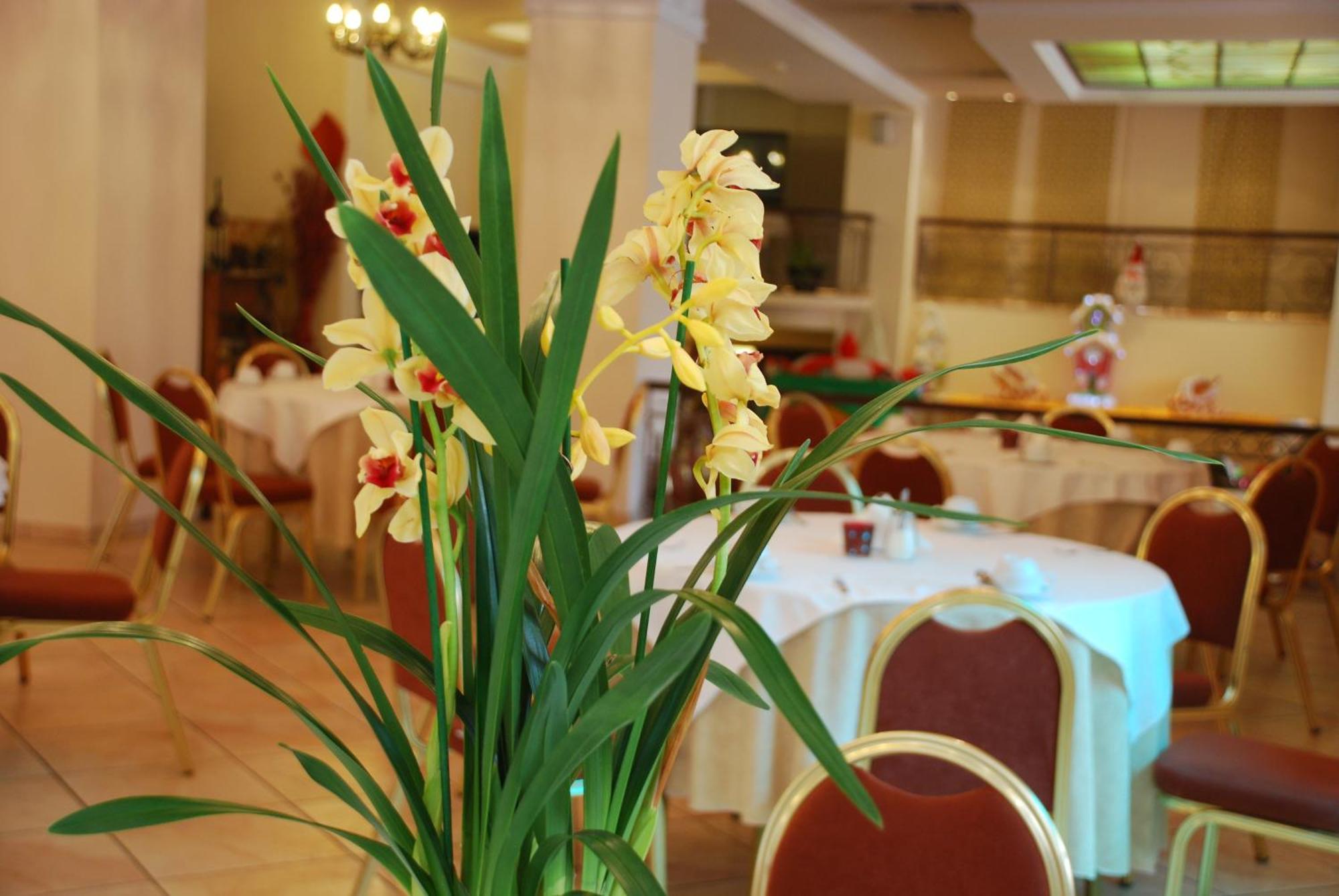 Hotel Pella Джаница Екстериор снимка